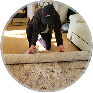 area-rug-cleaning-th Leather Cleaning Service Icon