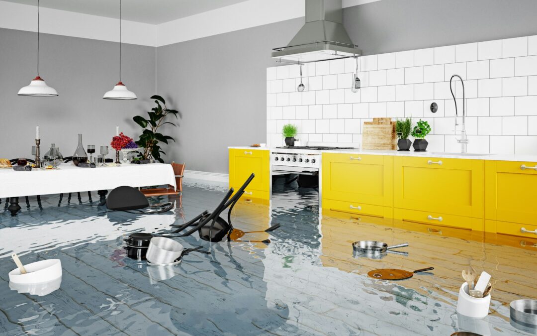 Flood Damage Cleanup