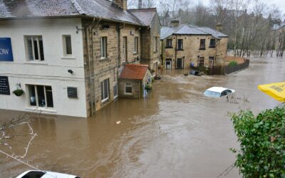 What to Do When Your Home Floods: Carpet Edition
