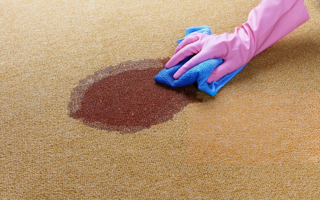 area rug stain