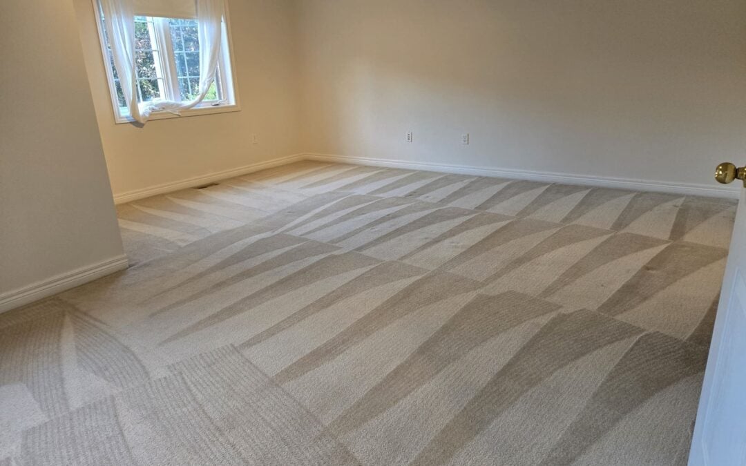 Carpet Cleaning & Repair in Mississauga &ndash; Stunning Home Transformation