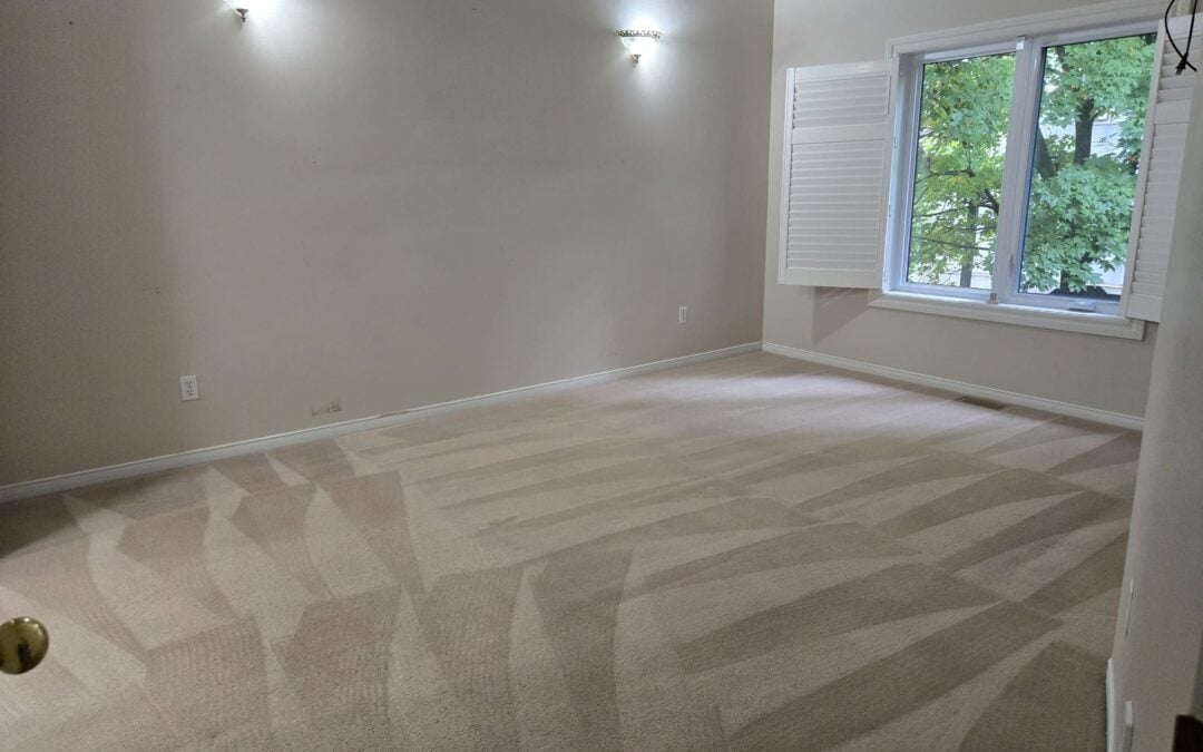 Carpet Cleaning in Mississauga, ON &ndash; Making Marian&rsquo;s Home Market-Ready