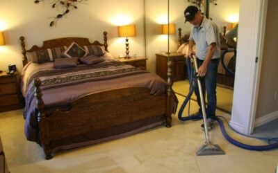 Why Mississauga Homeowners Choose Professional Carpet Cleaning for Cleaner, Healthier Carpets