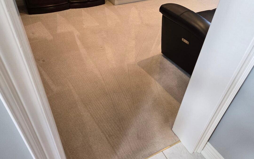 Streetsville Carpet Rejuvenation Success &mdash; Mississauga, ON