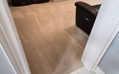 Streetsville Carpet Rejuvenation Success — Mississauga, ON