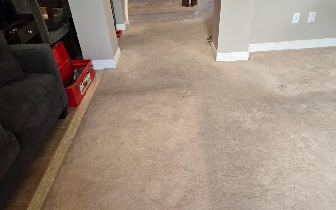 Carpet Cleaning & Repair Brampton, ON — Kruno’s Success