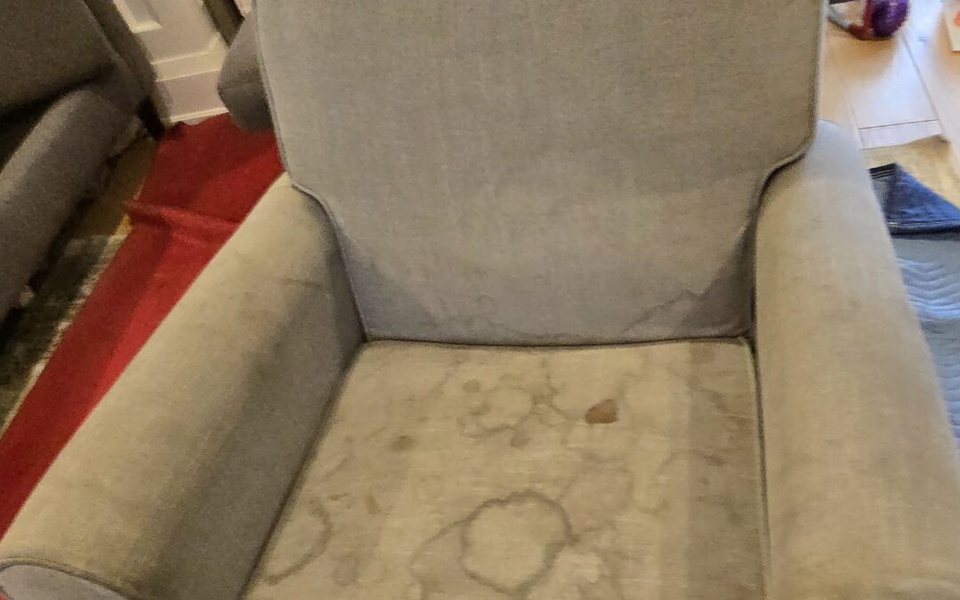 Upholstery Cleaning Mississauga ON: Lisa’s Chair Saved Like New