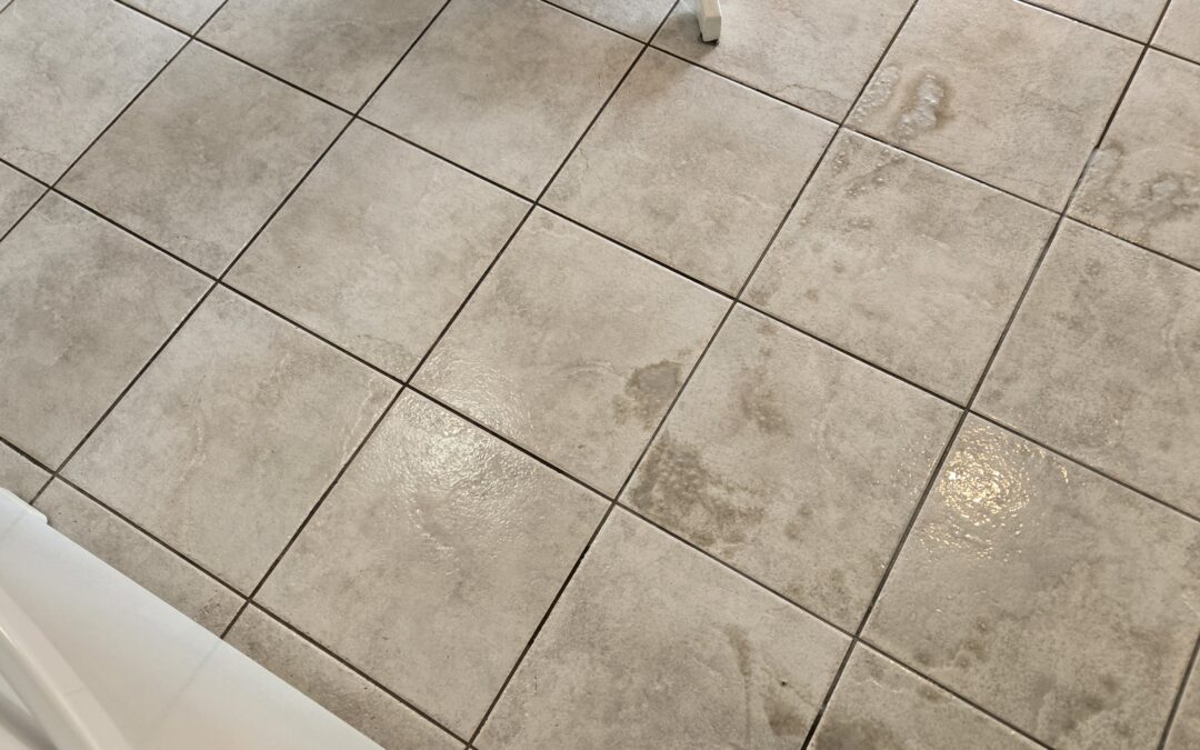 Sparkling Tile & Grout Cleaning in Mississauga, ON | Pat & Dave’s Success Story