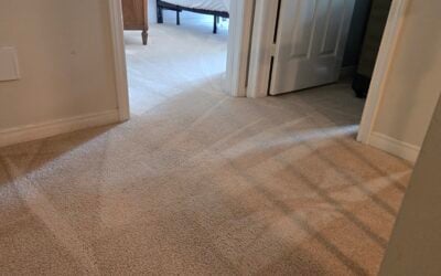 Townhouse Carpet Revitalization in Oakville, ON Before It Sells