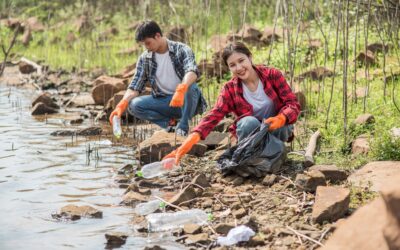 Flood Cleanup Strategies: Professional Techniques, Preventative Measures, and Post-Cleanup Care