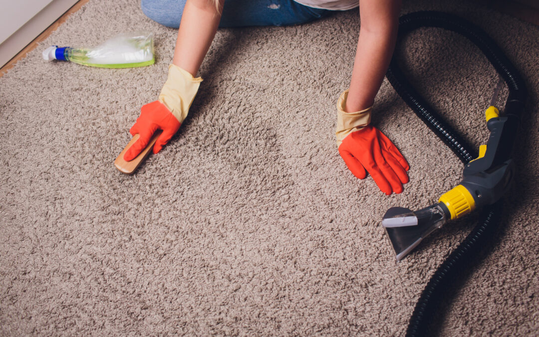 carpet maintenance