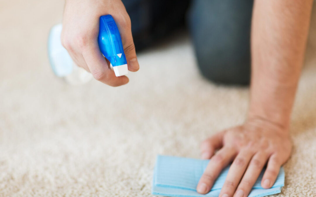 carpet deodorizing