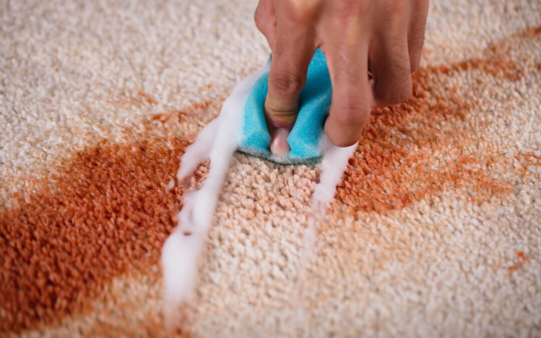 Dealing with Water Damage on Your Carpets