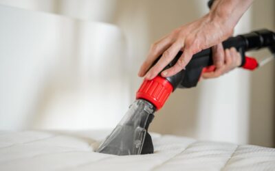 Quick Fixes for Common Upholstery Issues