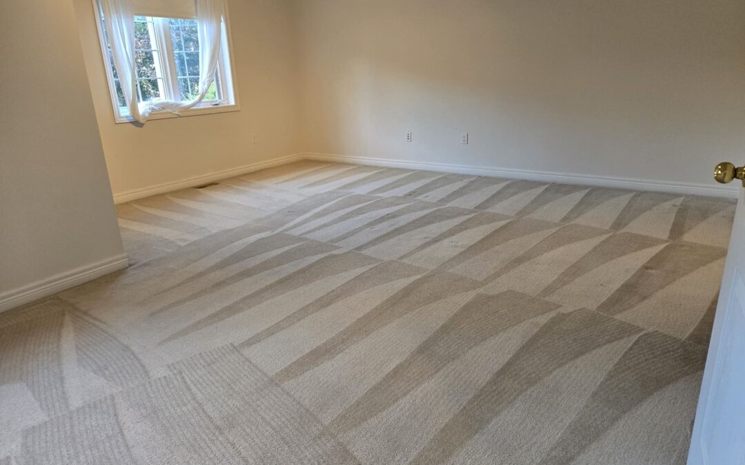 Carpet Cleaning & Repair in Mississauga – Stunning Home Transformation