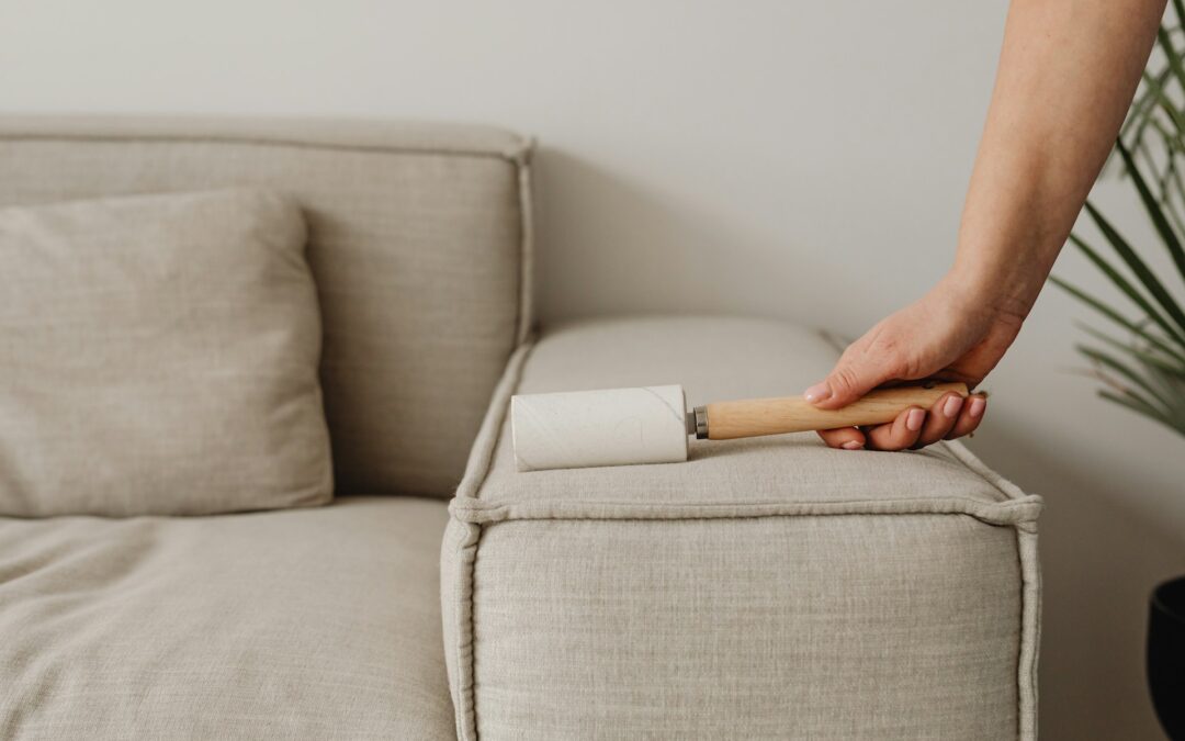 Dealing with Pet Hair on Upholstered Furniture: Tips for a Cleaner Home